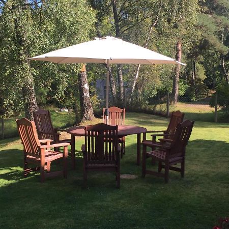 Daedalus Bed & Breakfast Мьюир-оф-Орд Экстерьер фото